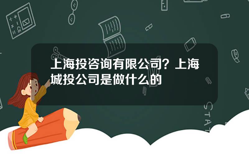 上海投咨询有限公司？上海城投公司是做什么的