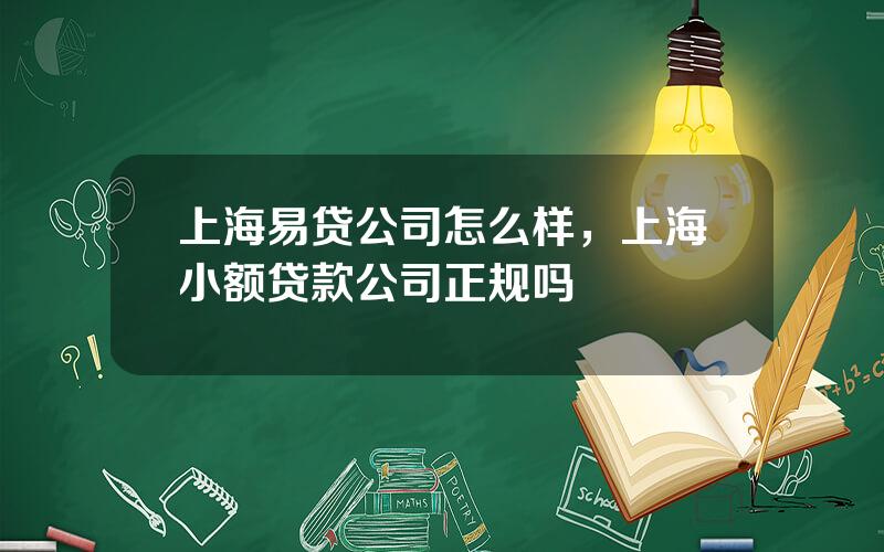 上海易贷公司怎么样，上海小额贷款公司正规吗