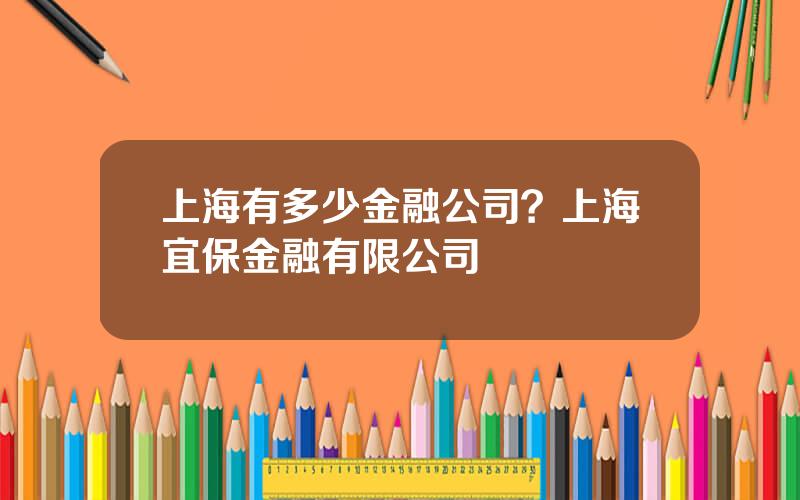 上海有多少金融公司？上海宜保金融有限公司