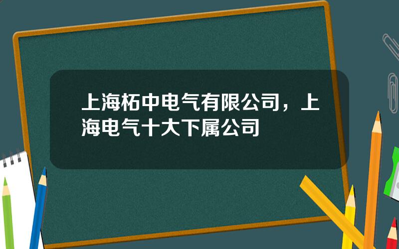 上海柘中电气有限公司，上海电气十大下属公司