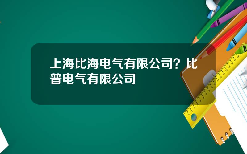 上海比海电气有限公司？比普电气有限公司