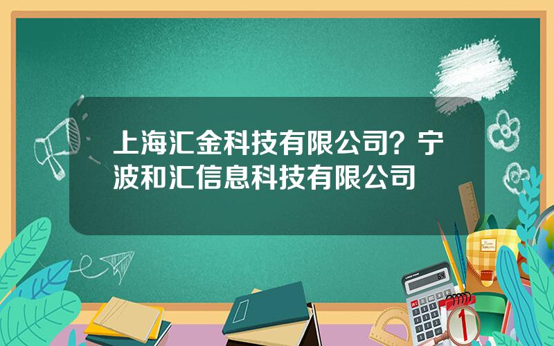 上海汇金科技有限公司？宁波和汇信息科技有限公司