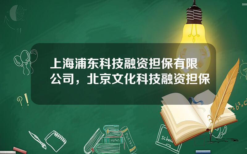 上海浦东科技融资担保有限公司，北京文化科技融资担保