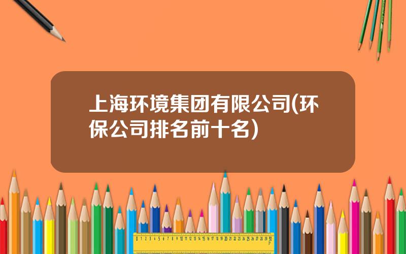 上海环境集团有限公司(环保公司排名前十名)