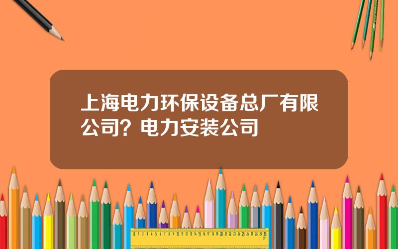 上海电力环保设备总厂有限公司？电力安装公司