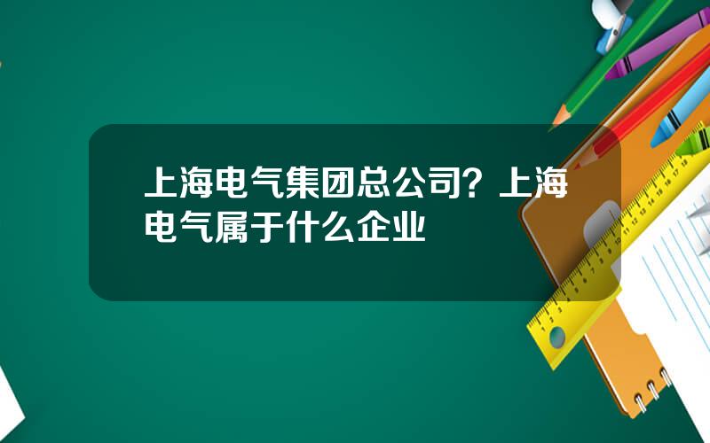 上海电气集团总公司？上海电气属于什么企业