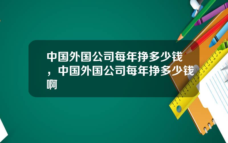 中国外国公司每年挣多少钱，中国外国公司每年挣多少钱啊