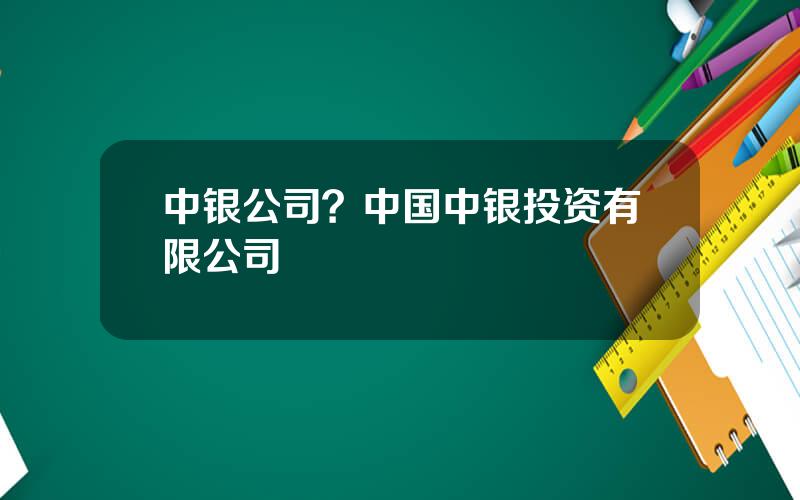 中银公司？中国中银投资有限公司