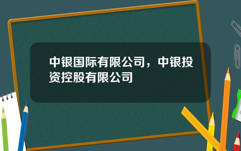 中银国际有限公司，中银投资控股有限公司