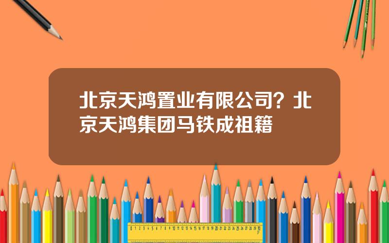 北京天鸿置业有限公司？北京天鸿集团马铁成祖籍