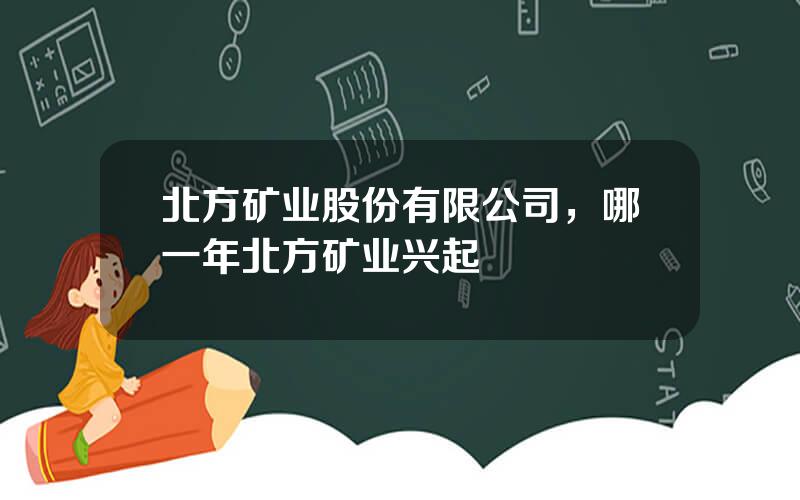 北方矿业股份有限公司，哪一年北方矿业兴起