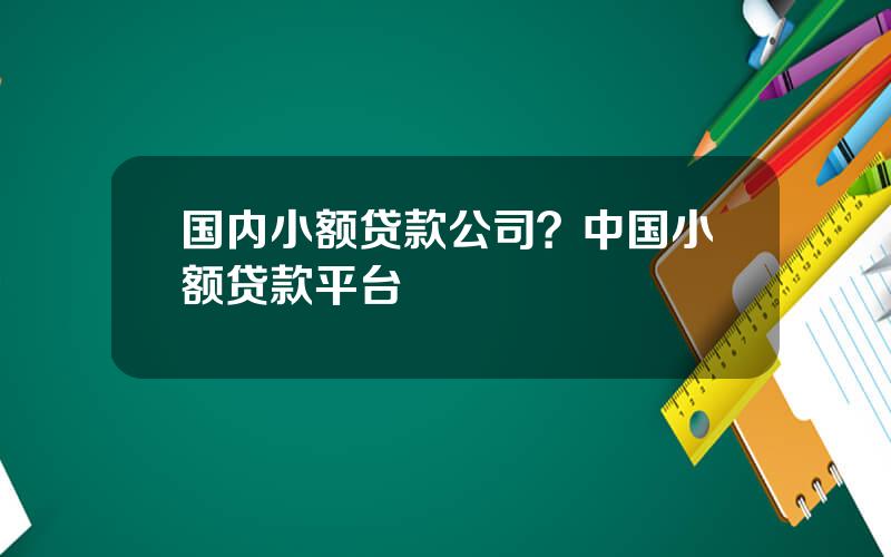 国内小额贷款公司？中国小额贷款平台