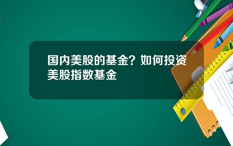 国内美股的基金？如何投资美股指数基金