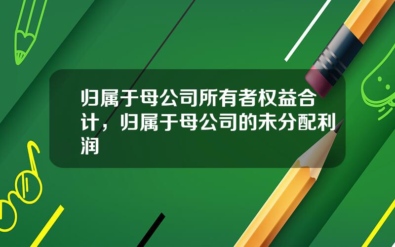 归属于母公司所有者权益合计，归属于母公司的未分配利润