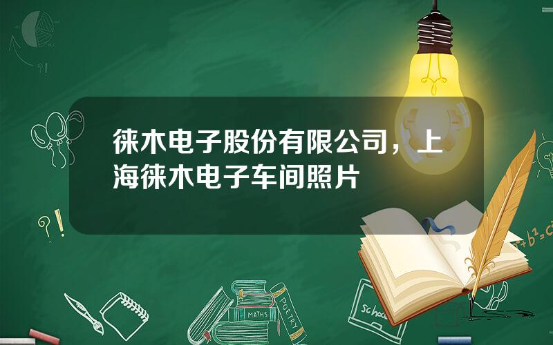 徕木电子股份有限公司，上海徕木电子车间照片