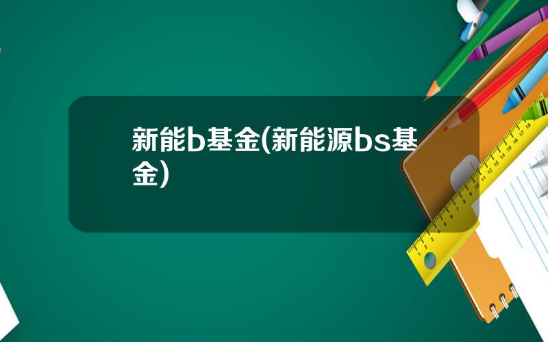 新能b基金(新能源bs基金)