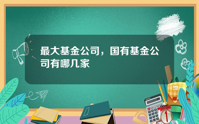 最大基金公司，国有基金公司有哪几家