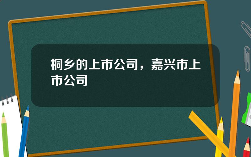 桐乡的上市公司，嘉兴市上市公司