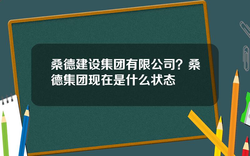 桑德建设集团有限公司？桑德集团现在是什么状态