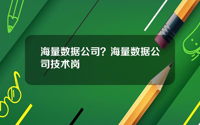 海量数据公司？海量数据公司技术岗